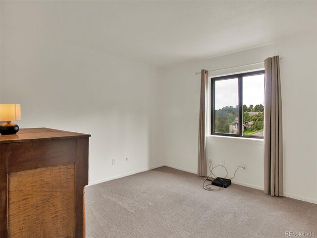 953 Gilia Dr, Golden, CO 80401 - photo 23