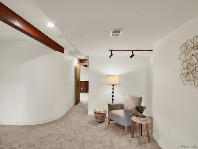 953 Gilia Dr, Golden, CO 80401 - photo 31