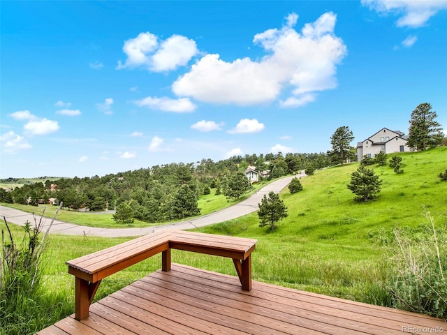953 Gilia Dr, Golden, CO 80401 - photo 42