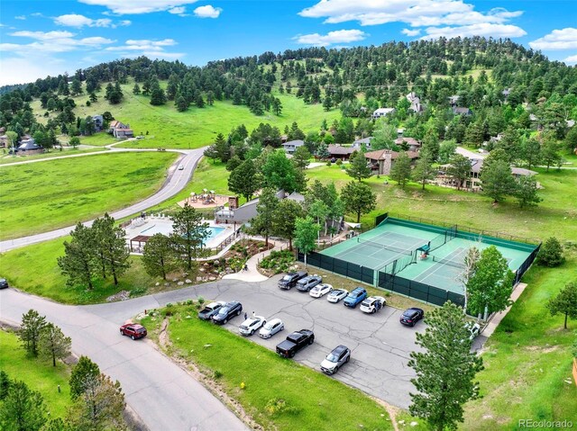 953 Gilia Dr, Golden, CO 80401 - photo 43