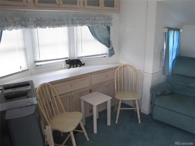 234 Lantern Loop, Hartsel, CO 80449 - photo 3