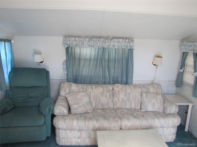 234 Lantern Loop, Hartsel, CO 80449 - photo 4