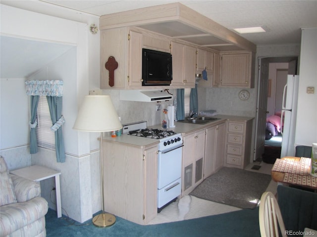 234 Lantern Loop, Hartsel, CO 80449 - photo 5