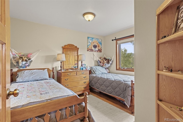 12191 Tecumseh Trl, Conifer, CO 80433 - bedroom featuring wood finished floors