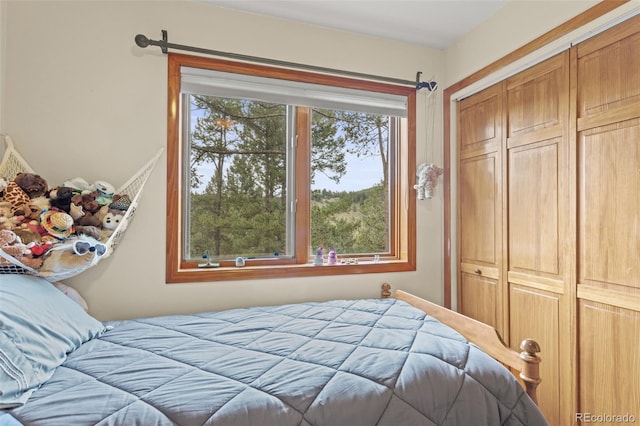12191 Tecumseh Trl, Conifer, CO 80433 - bedroom with a closet