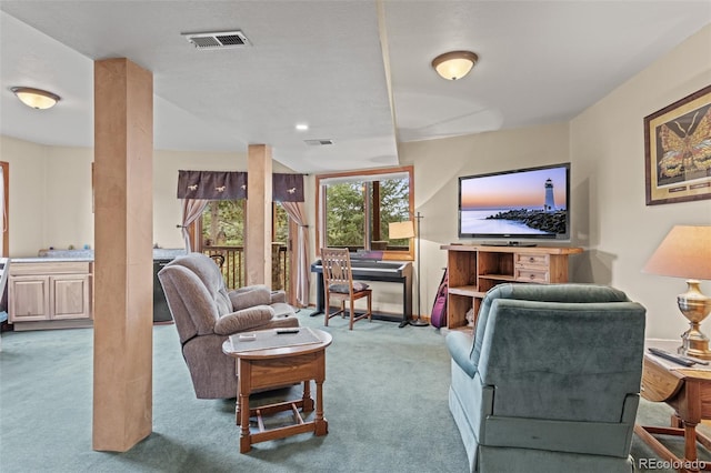 12191 Tecumseh Trl, Conifer, CO 80433 - living area featuring carpet flooring