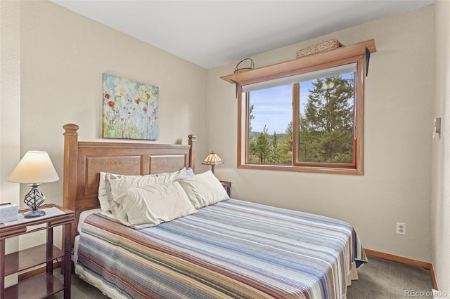 12191 Tecumseh Trl, Conifer, CO 80433 - carpeted bedroom with baseboards