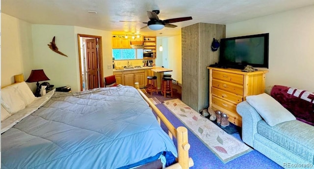 12191 Tecumseh Trl, Conifer, CO 80433 - bedroom featuring a ceiling fan and a sink