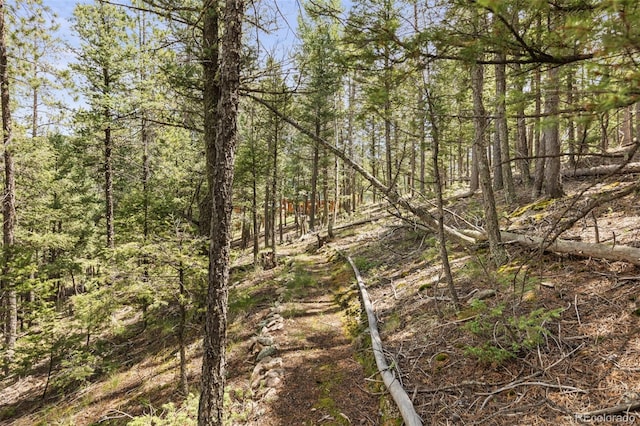 12191 Tecumseh Trl, Conifer, CO 80433 - view of woods