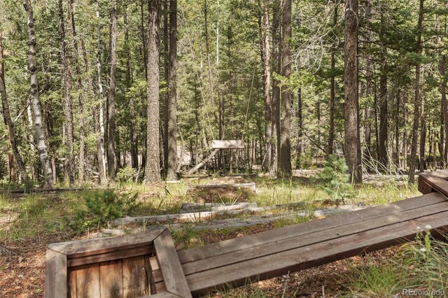 12191 Tecumseh Trl, Conifer, CO 80433 - view of yard with a forest view
