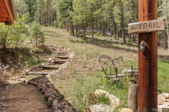 12191 Tecumseh Trl, Conifer, CO 80433 - photo 37