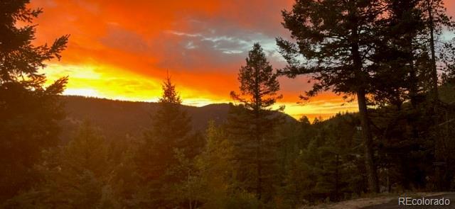 12191 Tecumseh Trl, Conifer, CO 80433 - photo 48