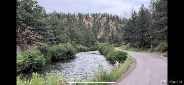 12191 Tecumseh Trl, Conifer, CO 80433 - photo 49