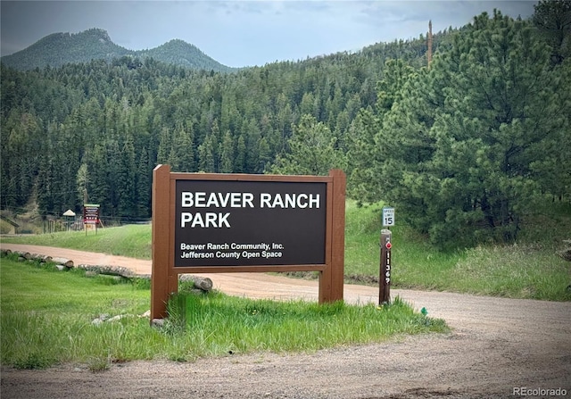 12191 Tecumseh Trl, Conifer, CO 80433 - photo 45