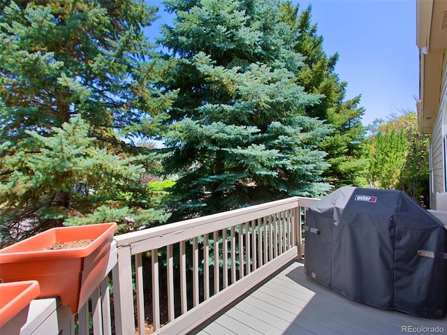 86 Woodland Cir, Highlands Ranch, CO 80126 - photo 37