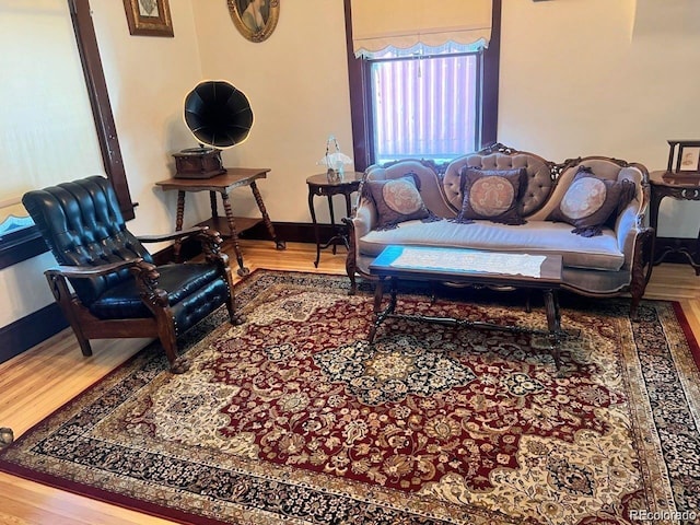 243 Park Ave, Salida, CO 81201 - living room with wood finished floors