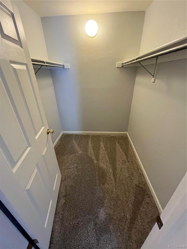 walk in closet with carpet