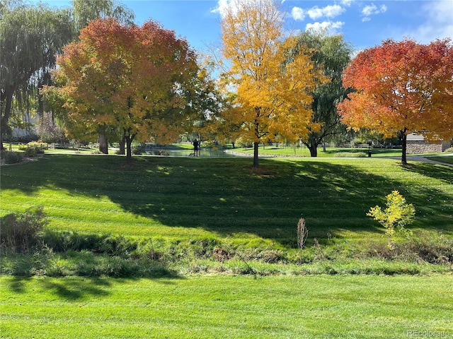 view of property's community featuring a yard