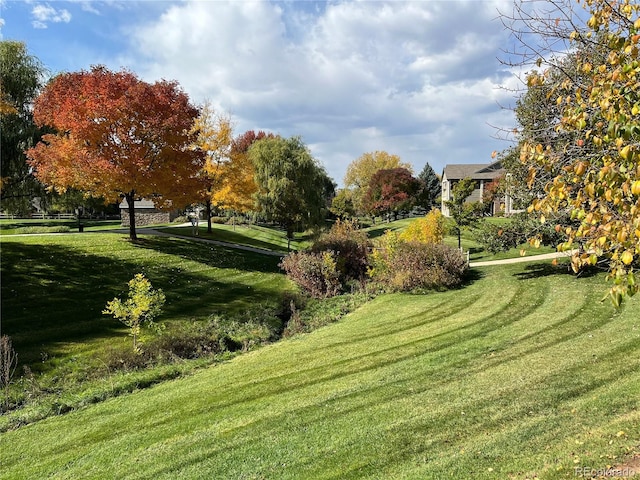 view of community with a lawn