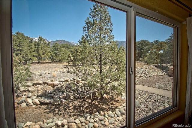 3713 Enchanted Way, Crestone, CO 81131 - doorway with a mountain view and a wealth of natural light