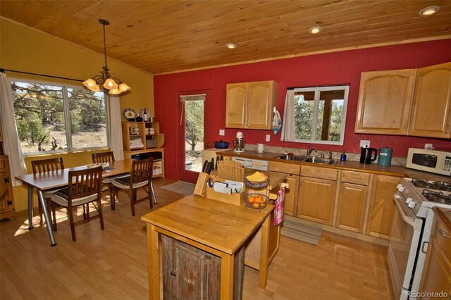 3713 Enchanted Way, Crestone, CO 81131 - kitchen featuring white appliances, wooden ceiling, a sink, and a healthy amount of sunlight
