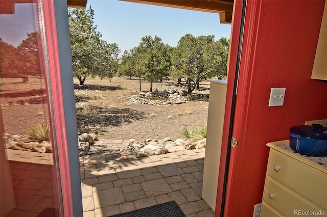 3713 Enchanted Way, Crestone, CO 81131 - doorway featuring a textured wall