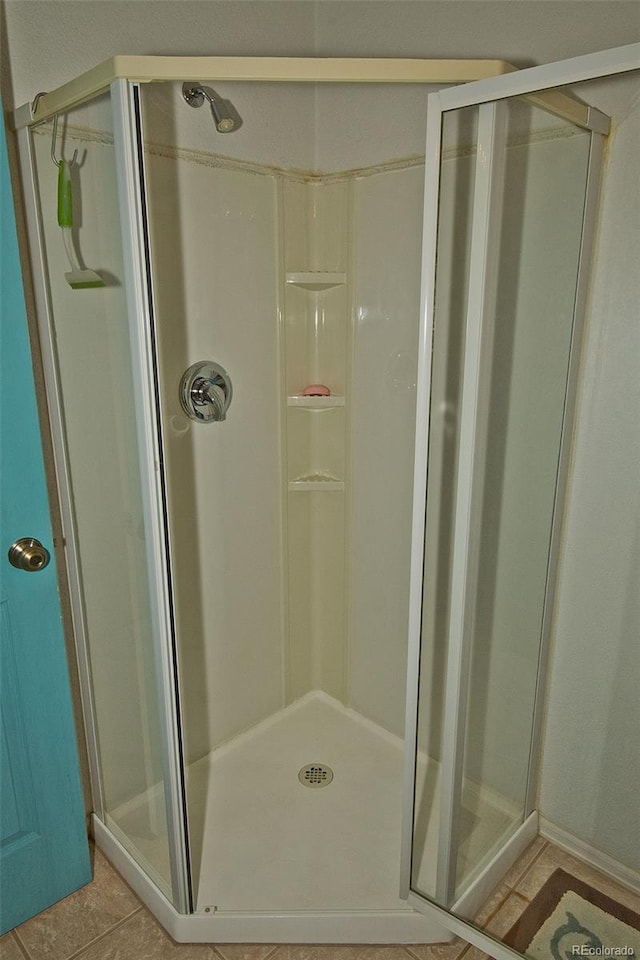 3713 Enchanted Way, Crestone, CO 81131 - full bath with a stall shower