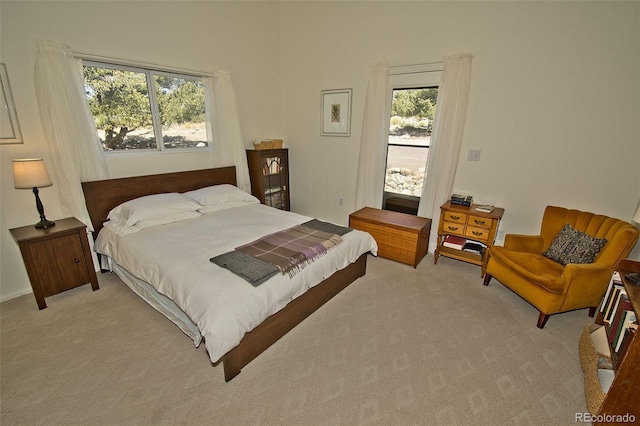 3713 Enchanted Way, Crestone, CO 81131 - bedroom with light carpet