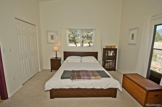 3713 Enchanted Way, Crestone, CO 81131 - bedroom featuring a closet, baseboards, carpet flooring, and a towering ceiling