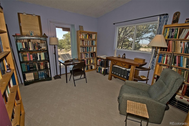 3713 Enchanted Way, Crestone, CO 81131 - living area with carpet floors, a textured ceiling, and wall of books