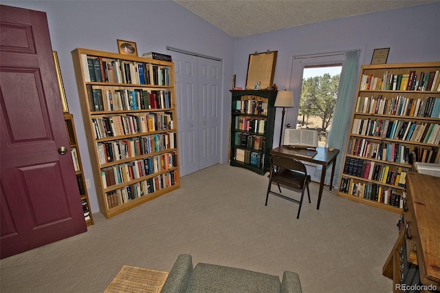 3713 Enchanted Way, Crestone, CO 81131 - living area with carpet floors, wall of books, a textured ceiling, and lofted ceiling