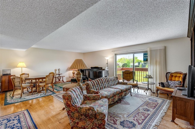 12565 Sheridan Blvd Unit 105, Broomfield, CO 80020 - living room with light wood-style flooring and a textured ceiling