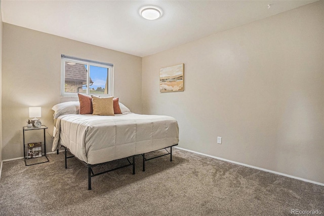 5573 S Lowell Blvd, Littleton, CO 80123 - bedroom with carpet floors and baseboards