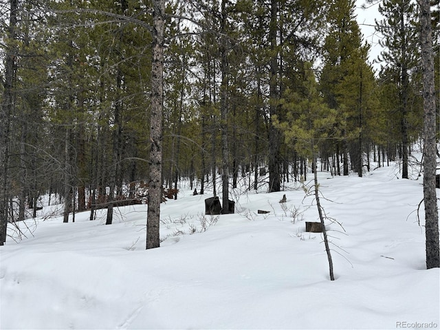 142 Mt Massive Rd, Twin Lakes CO, 81251 land for sale