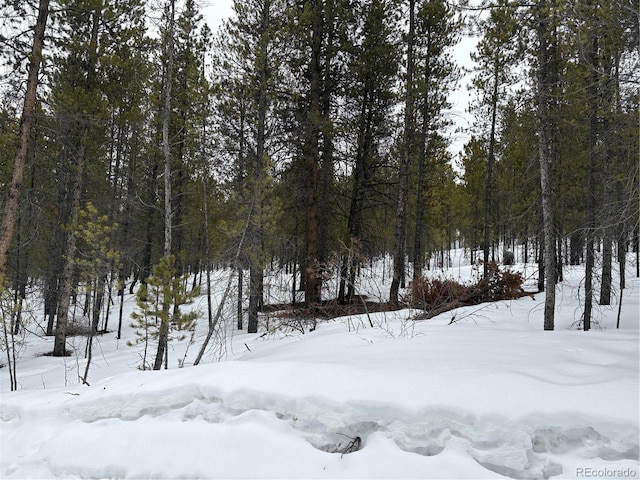 Listing photo 2 for 142 Mt Massive Rd, Twin Lakes CO 81251