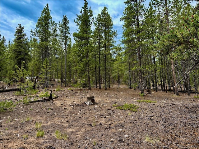 142 Mt Massive Rd, Twin Lakes, CO 81251 - photo 2