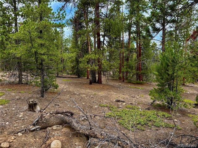 142 Mt Massive Rd, Twin Lakes, CO 81251 - photo 4