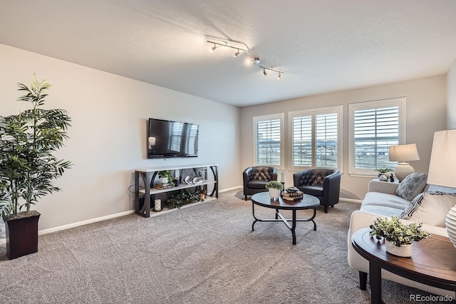 8695 Torrey St, Arvada, CO 80007 - carpeted living room featuring track lighting, baseboards, and a textured ceiling