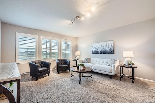 8695 Torrey St, Arvada, CO 80007 - living area with carpet floors, baseboards, and track lighting