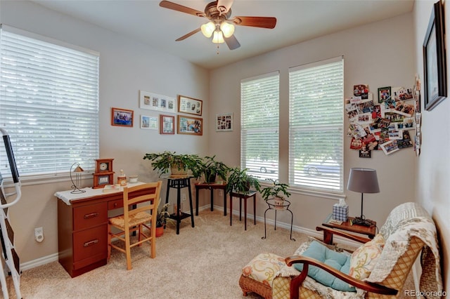 10571 Pearlwood Cir, Highlands Ranch, CO 80126 - photo 14