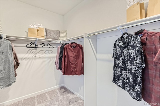 14123 Bunny Hop Ln, Parker, CO 80134 - photo 23