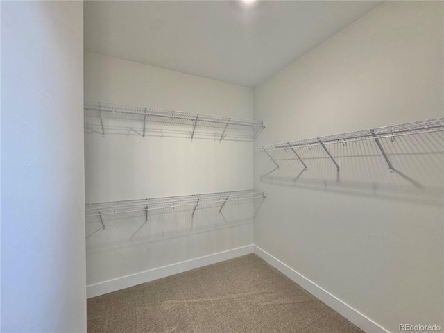 walk in closet with carpet