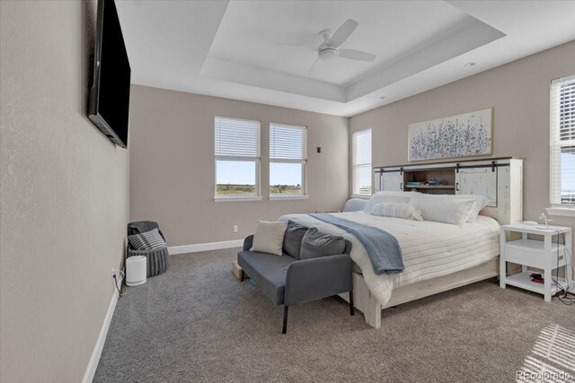19409 W 88th Dr, Arvada, CO 80007 - bedroom with a tray ceiling, carpet floors, and a ceiling fan