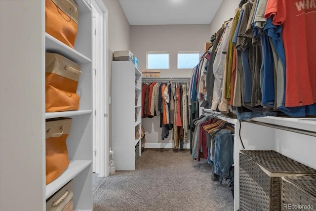 19409 W 88th Dr, Arvada, CO 80007 - spacious closet featuring carpet floors