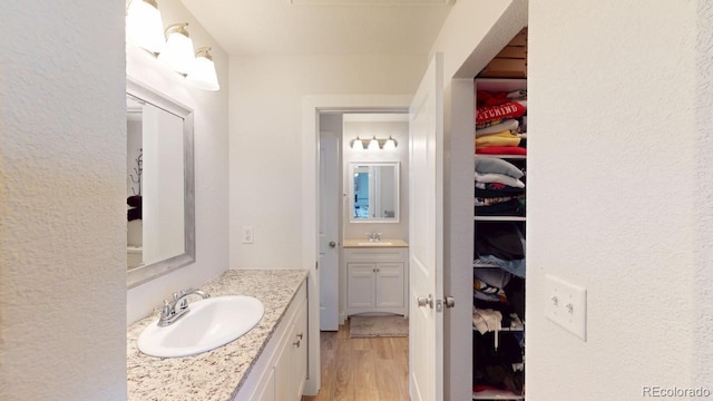 bathroom featuring two vanities, a sink, a spacious closet, and wood finished floors