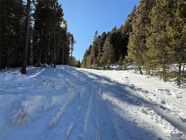 Listing photo 3 for LOT363 Stewart Rd, Idaho Springs CO 80452