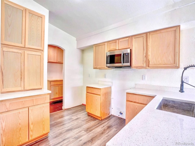 4625 Odessa St, Denver, CO 80249 - photo 5