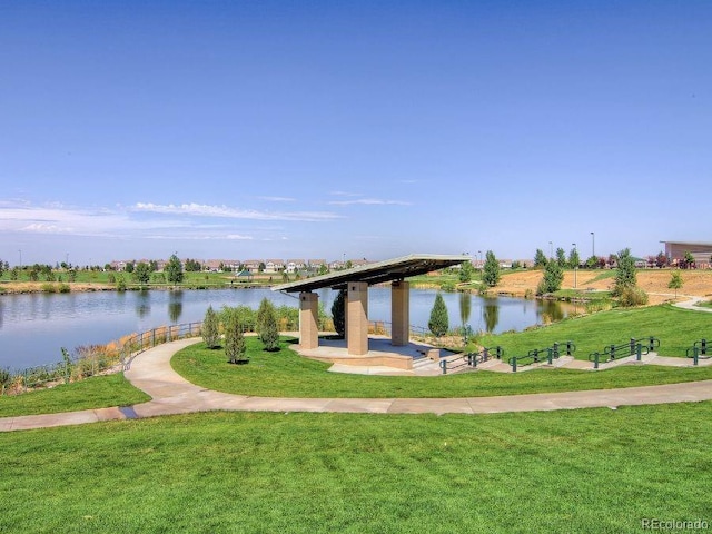 4625 Odessa St, Denver, CO 80249 - photo 43