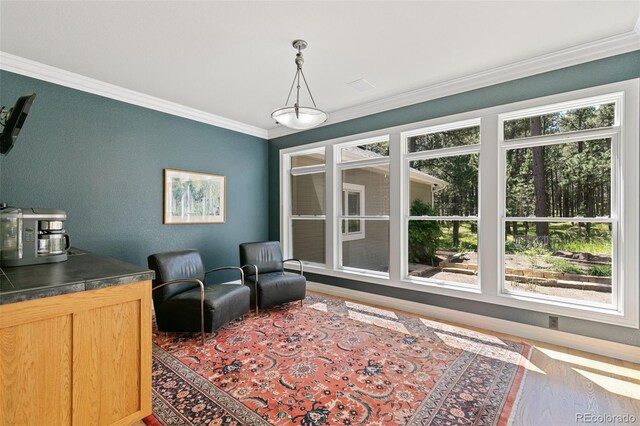 20088 Wissler Ranch Rd, Colorado Springs, CO 80908 - photo 24