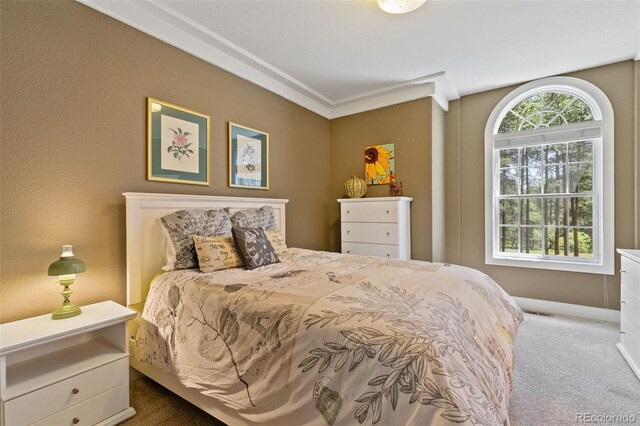 20088 Wissler Ranch Rd, Colorado Springs, CO 80908 - photo 34